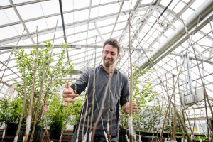 Nathan Wojtyna looks over grafted Aronia Mitschurinii plants at the Floriculture Greenhouse on May 1, 2015. This project was funded by an Idea Grant. (Peter Morenus/UConn Photo)