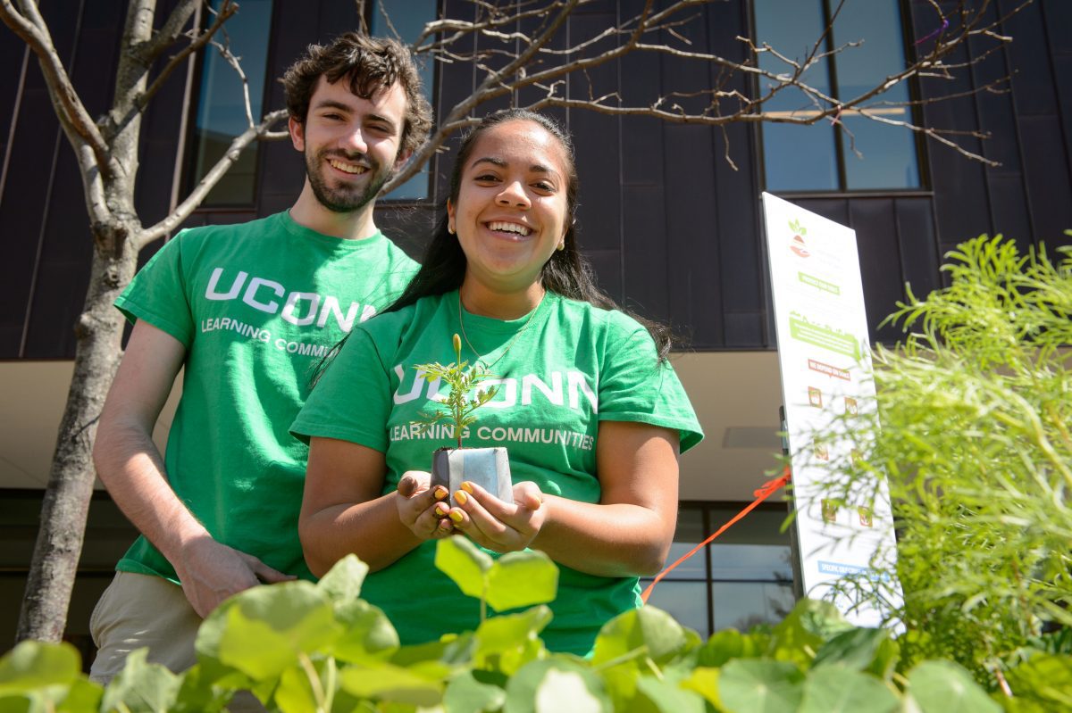 Students from EcoHouse and Spring Valley Farm hand out potted plants during the university's Earth Day celebration along Fairfield Way on April 22, 2015. (Peter Morenus/UConn Photo)