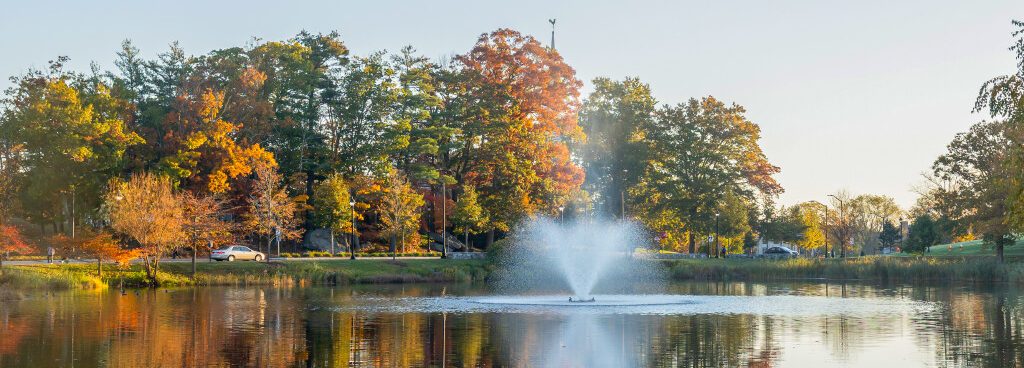 Swan lake (Sydney Herdle/UConn Photo)