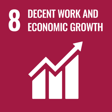 UN SDG 8 logo"