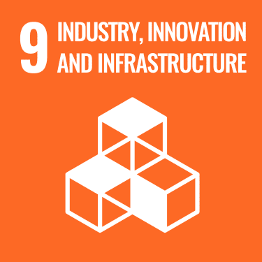 UN SDG 9 logo"