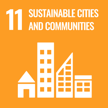 UN SDG 11 logo"