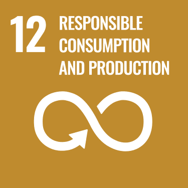 UN SDG 12 logo"