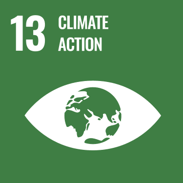 UN SDG 13 logo"