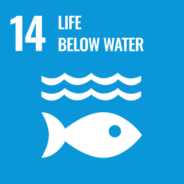 UN SDG 14 logo"