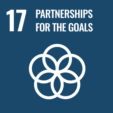UN SDG 17 logo"