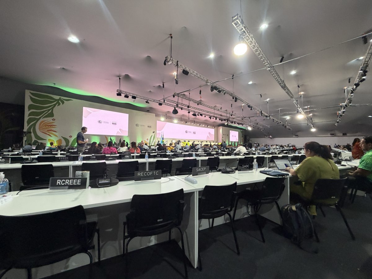 Climate negotiations at COP30