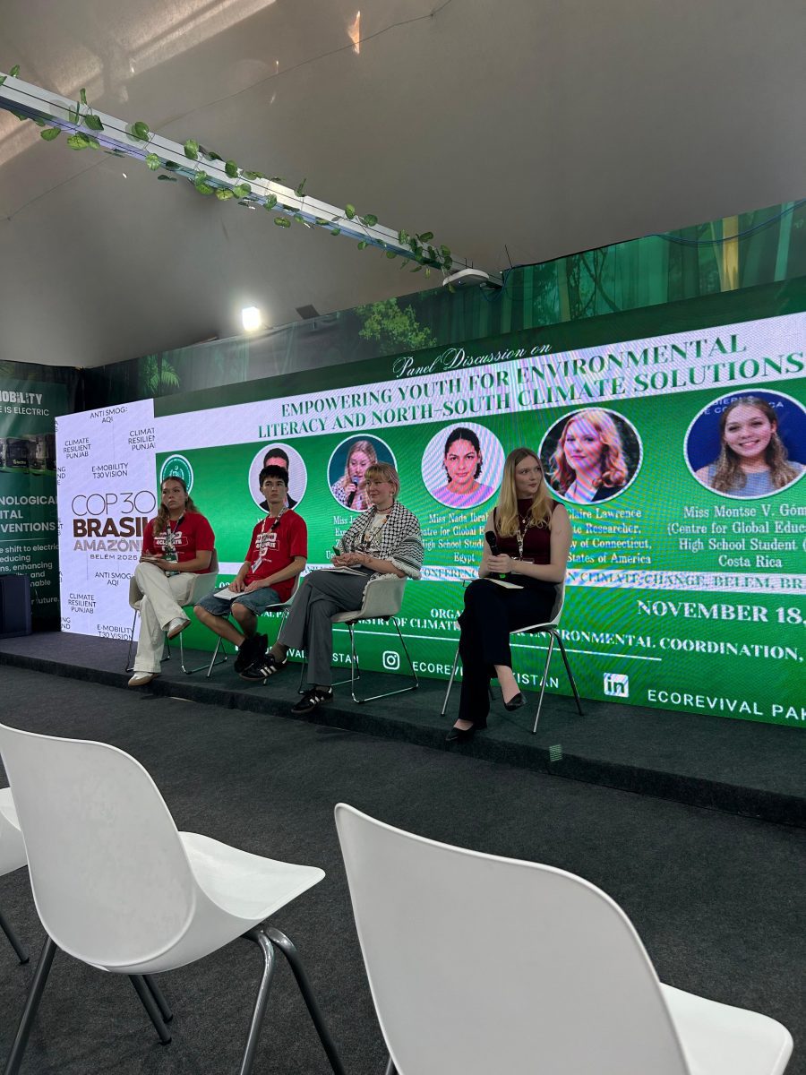 North South Solutions panel at COP30